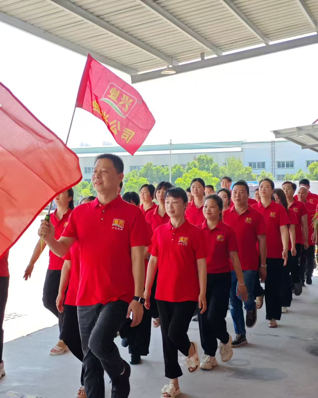 NG视讯(中国区)官方网站